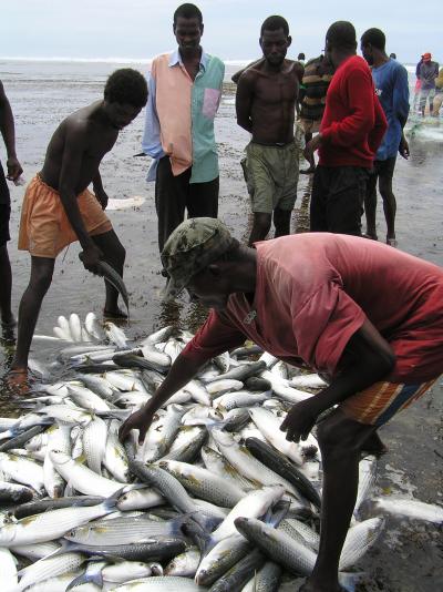 Kenya Fisheries