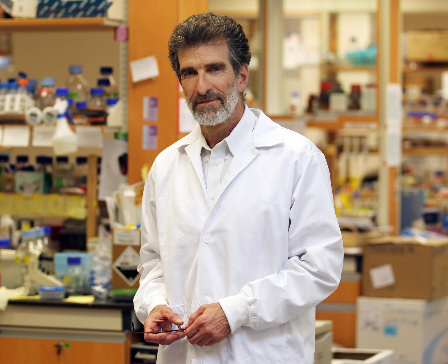 Researchers from CSI Singapore Discover New Way to Inhibit Development of Lung Cancer