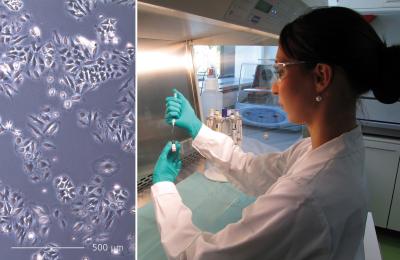 Nano-Dwarves Turn Tumor Assassins