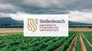 Stellenbosch University image