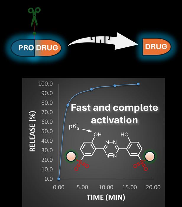 Accelerated activation of prodrugs using improved activators developed in Milan Vrabel Group