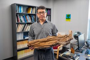 Ning Zeng with log