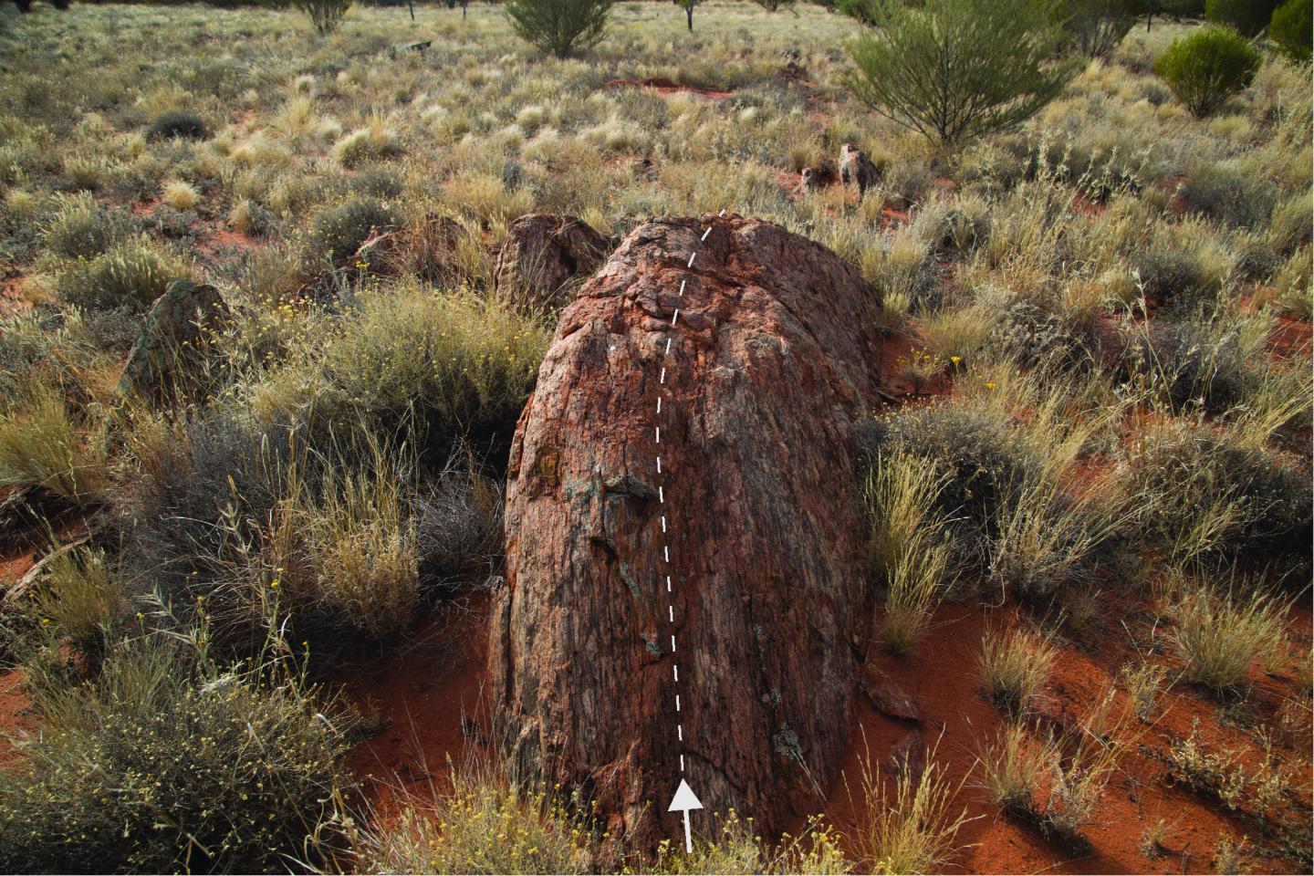 Petermann Ranges Earthquake