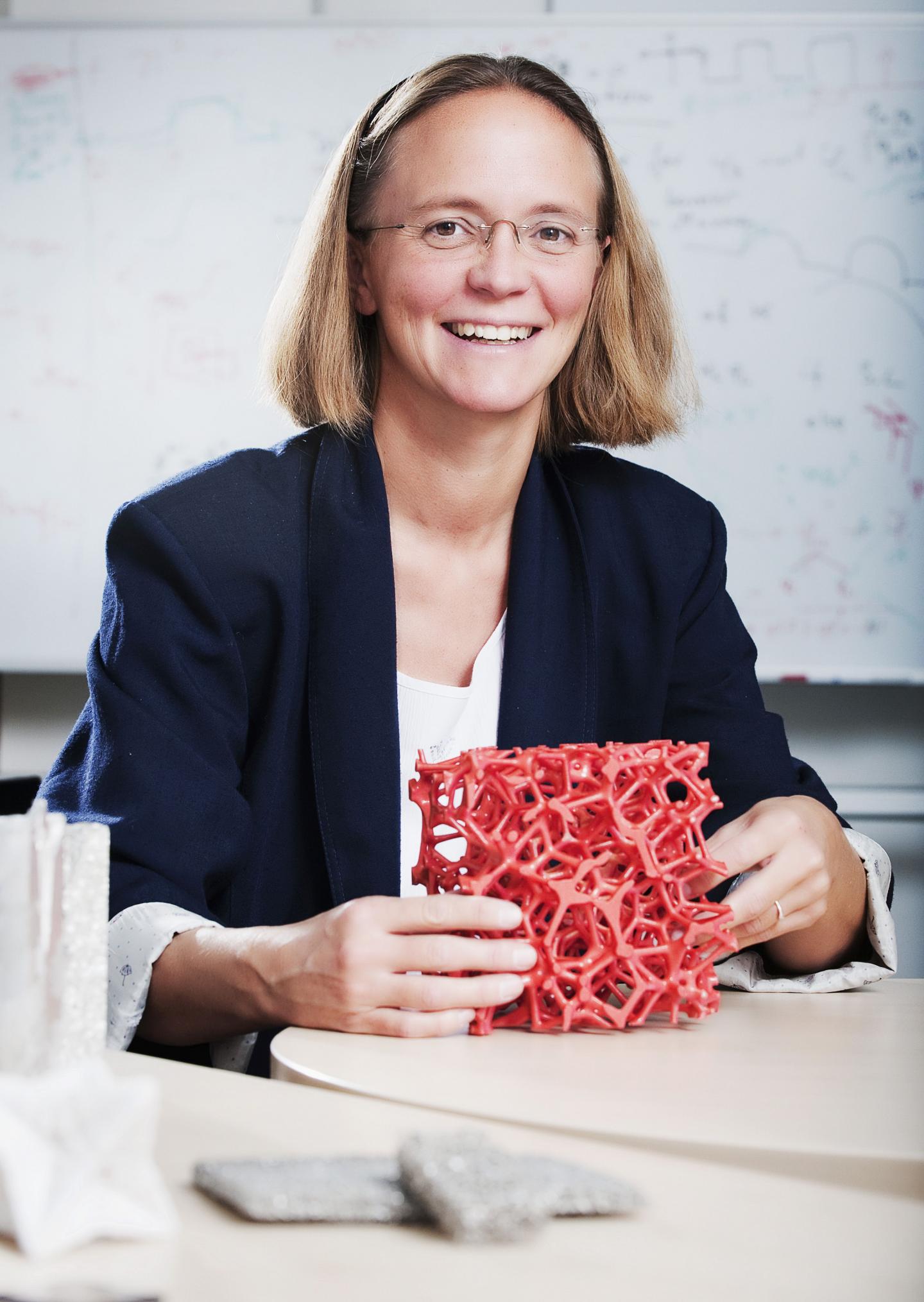 Britta Nestler, Karlsruher Institut für Technologie