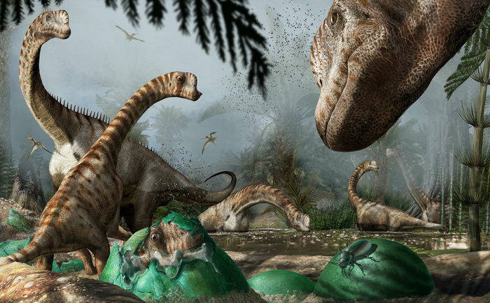 Some adult individuals watch over the newly-hatched Europasaurus chicks which are leaving the nest to join their herd.