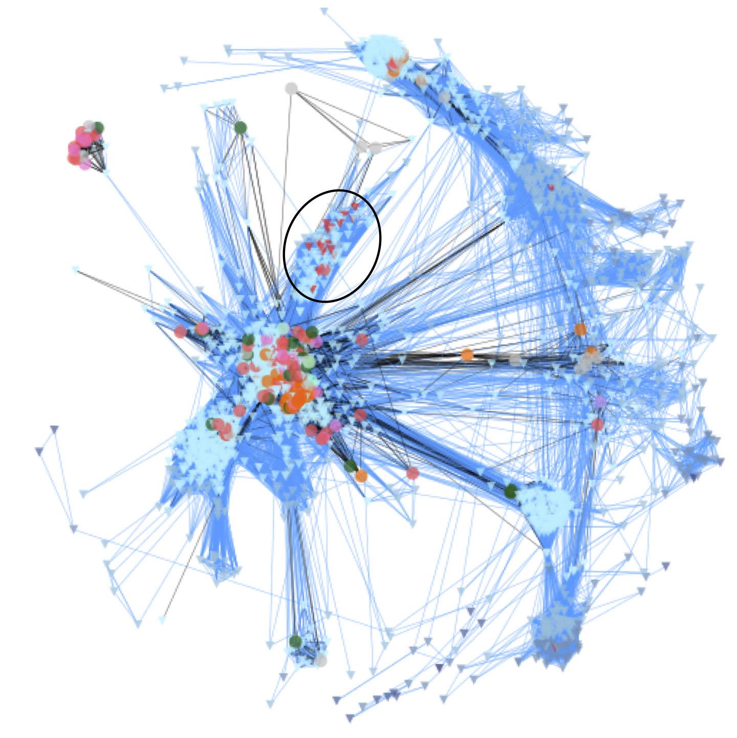 Unicellular Holozoa network