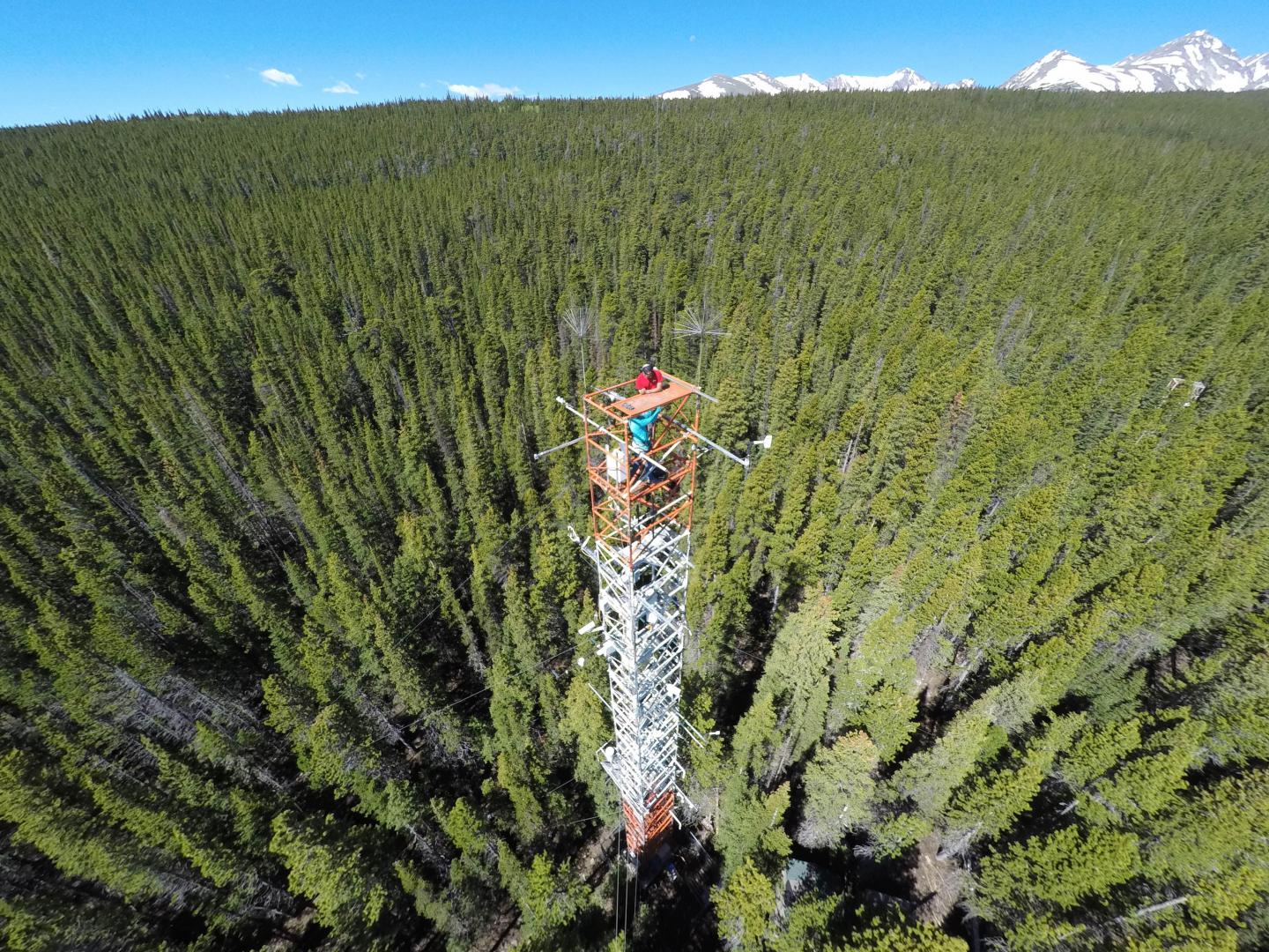 Researchers install a spectrometer on the top of a 26-meter tower in Niwot Ridge, CO.