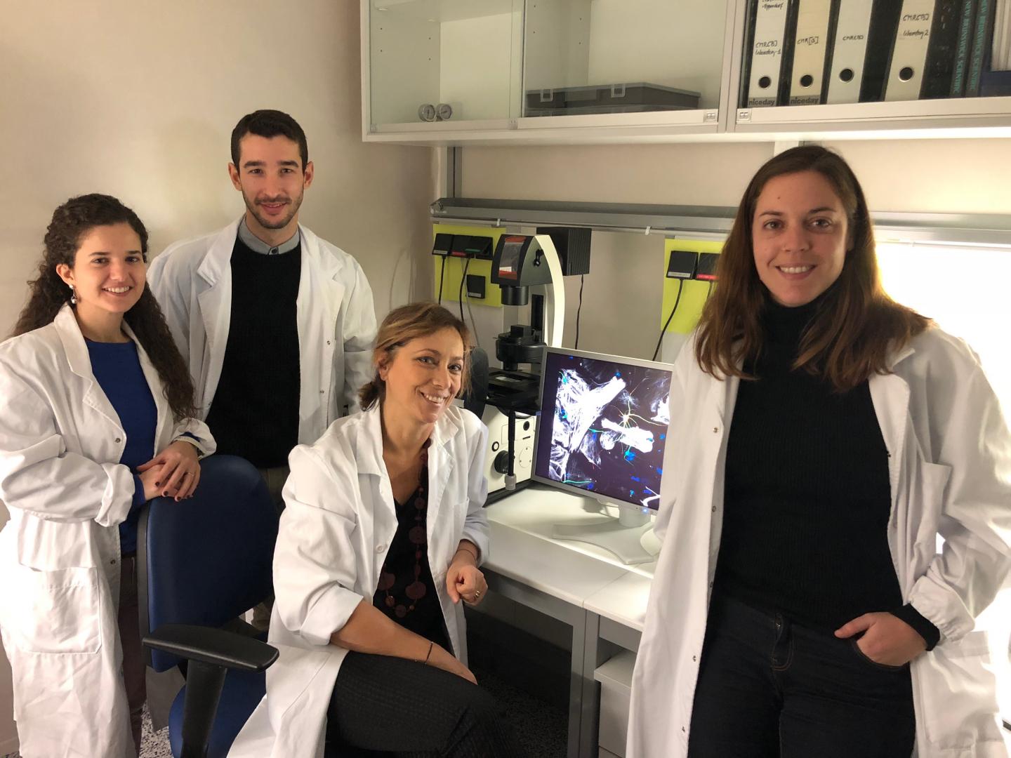 Dr. Consiglio's Team