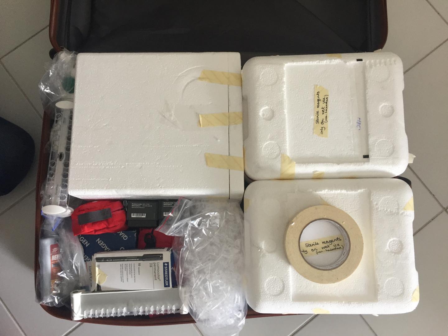 Images Taken during Field Work at FUNED, Minas Gerais, Brazil