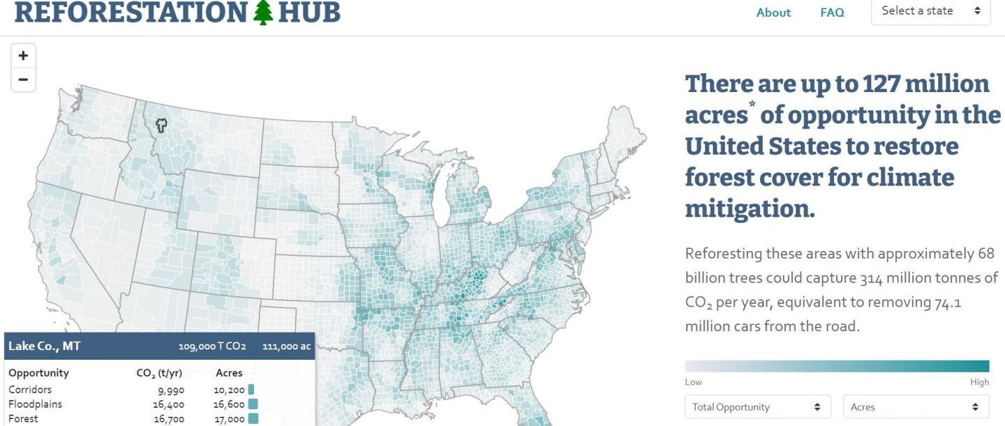 Reforestation Hub