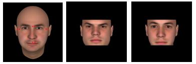 Width-to-height Ratio Experiment