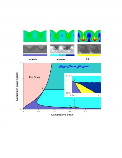 Phase Diagram