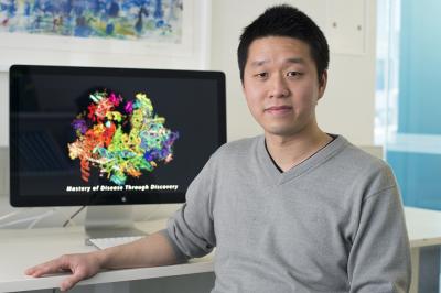 Wilson Wong, Walter and Eliza Hall Institute