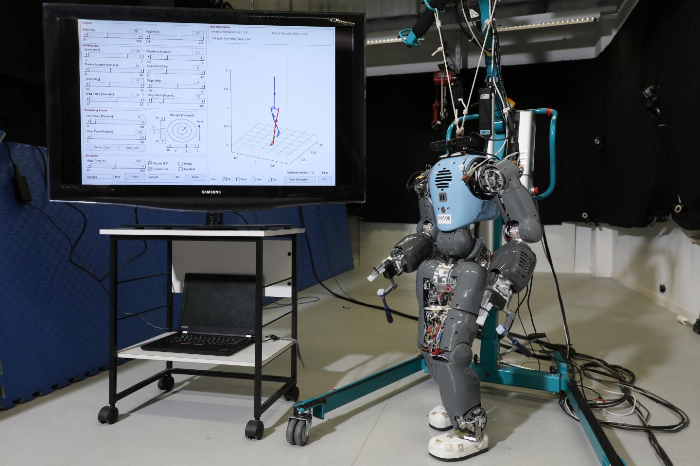 An Avatar Uses Your Gait to Predict How Many Calories You Will Burn