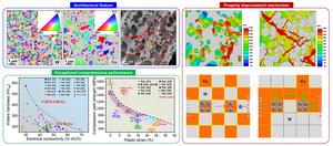 Development of a novel immiscible bimetal