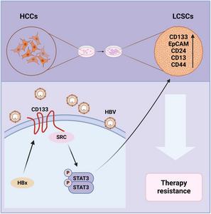 HBx Facilitates Drug Resistance in Hepatocellular Carcinoma via CD133-regulated Self-renewal of Liver Cancer Stem Cells