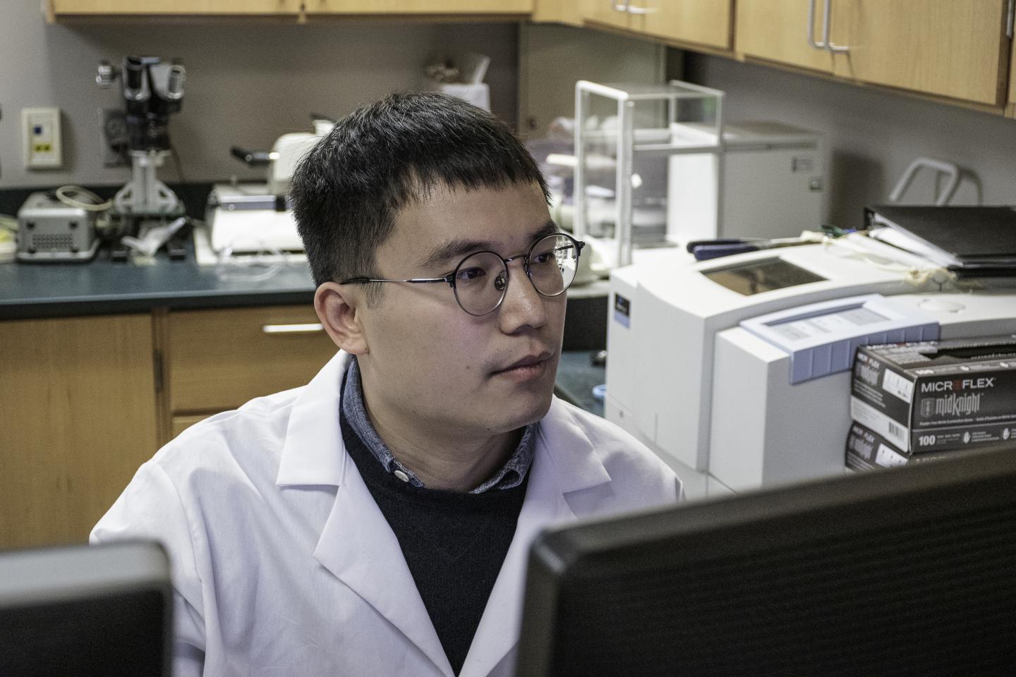 Qijun Zhang, University of Tennessee Institute of Agriculture