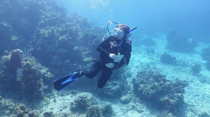 Madison Emery as a graduate student at UTA researching sea creature health