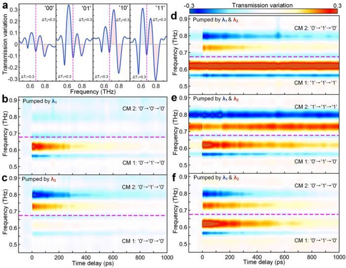 Ultrafast color-code THz response dynamics under different pumping configurations.