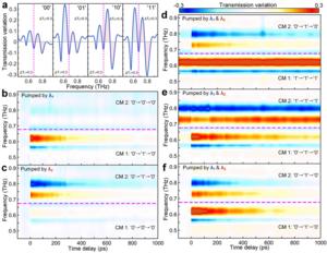 Ultrafast color-code THz response dynamics under different pumping configurations.