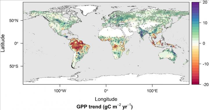 Changes in global gross primary productivity