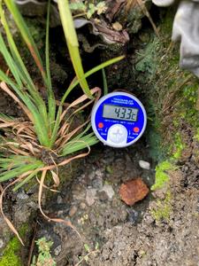 Centralia soil temperature