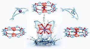 Capturing radioactive strontium by a metal-organic cage: Developing functional recognition sites through acyl-type metal node engineering