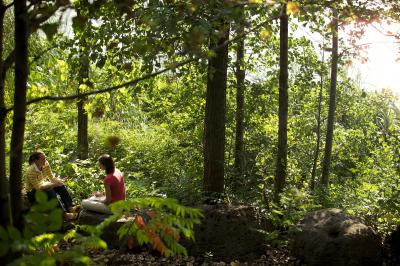 Nature is Fuel for the Soul