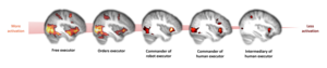 Activation of empathy related brain regions