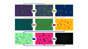 DNA Building Blocks