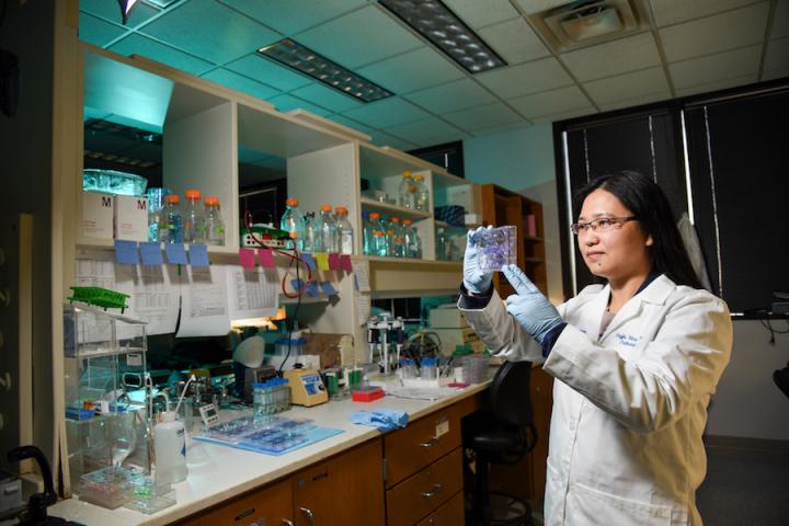 Dr. Wang, UT Southwestern Medical Center 