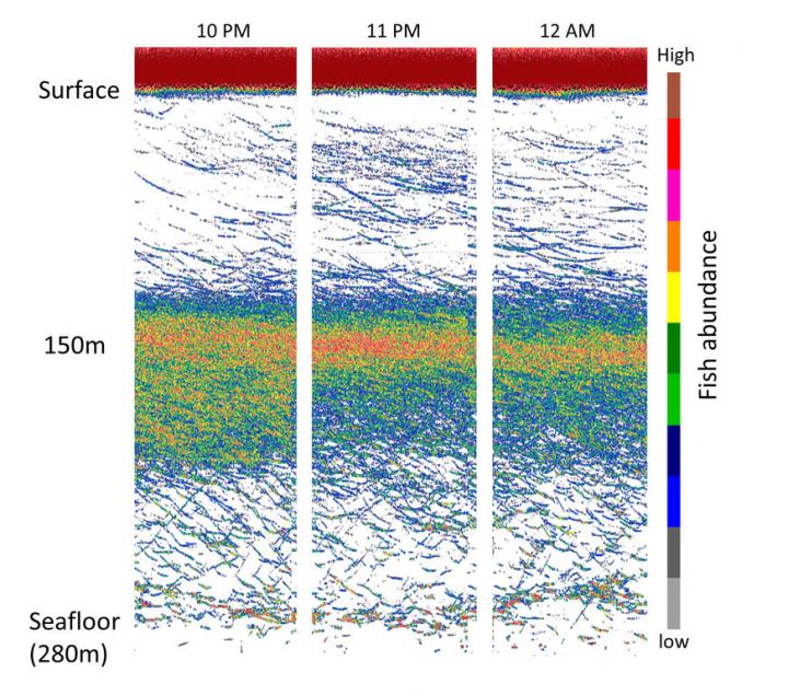 Sonar Data [IMAGE] EurekAlert! Science News Releases