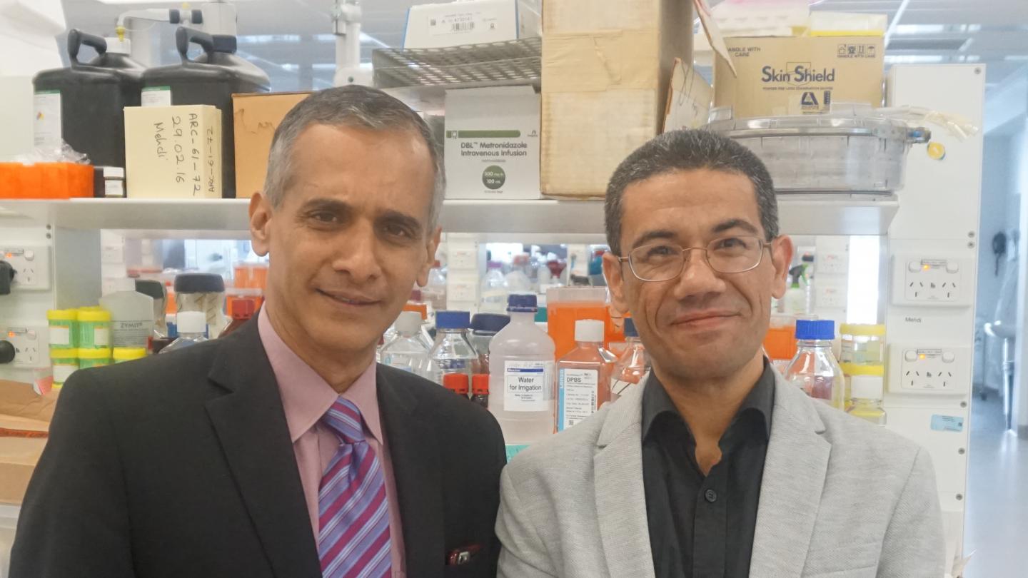 Jacob George and Mohammed Eslam, Westmead Institute for Medical Research