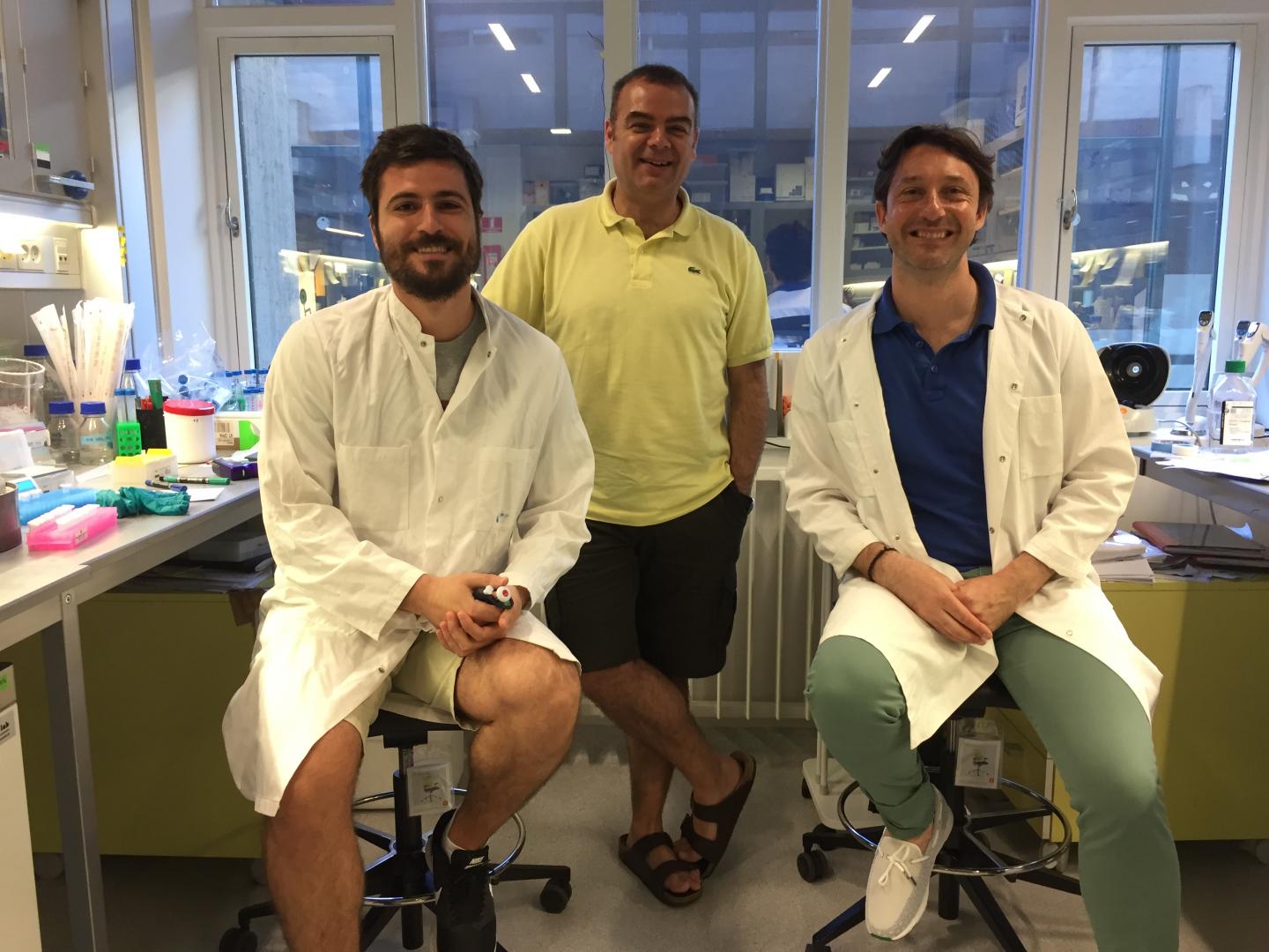 Researchers Pablo Alc&oacute;n , Stefano Stella and Guillermo Montoya, FECYT