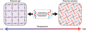 Mechanism of gel formation