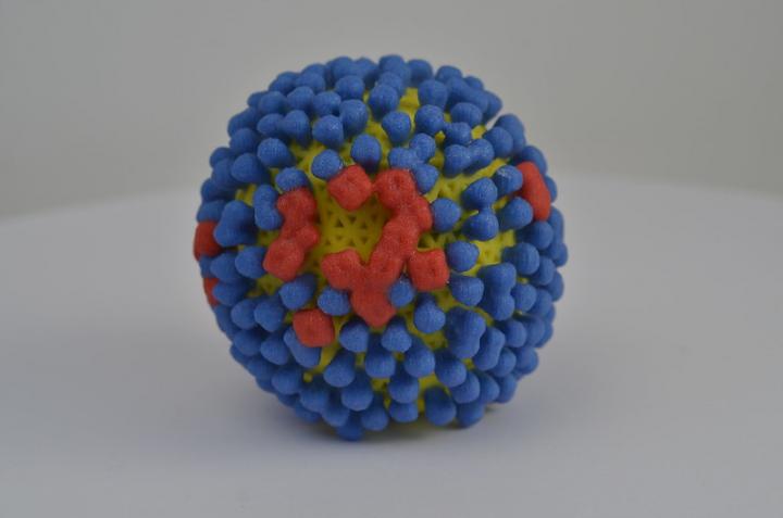 3D print of influenza virus