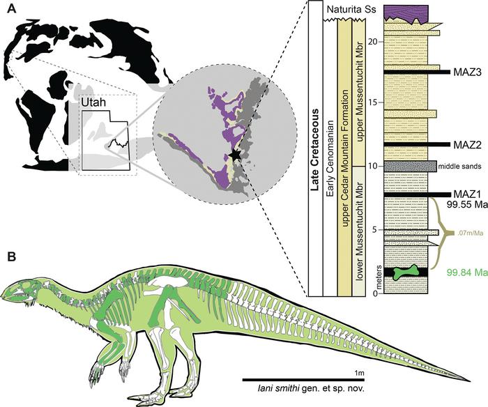 An early-diverging iguanodontian (Dinosauria: Rhabdodontomorpha) from the Late Cretaceous of North America