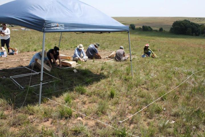 Field Work in South Africa