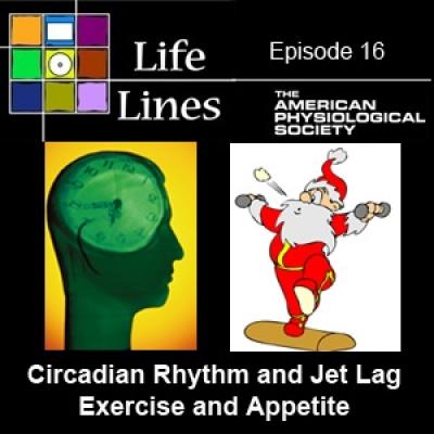 Life Lines Podcast