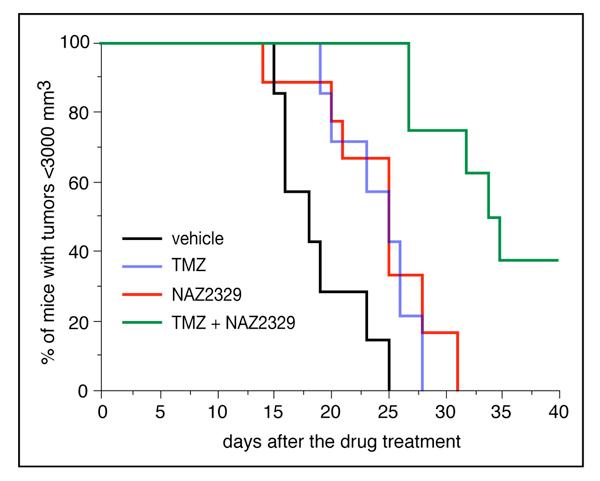 Co-Treatment with NAZ2329 and TMZ