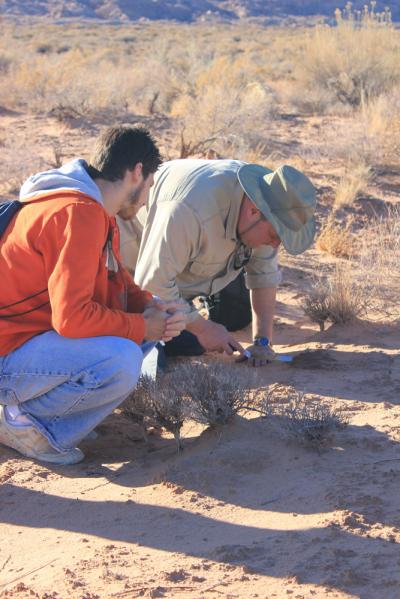 Researchers from Arizona State University Collect Microbe Samples in the Desert