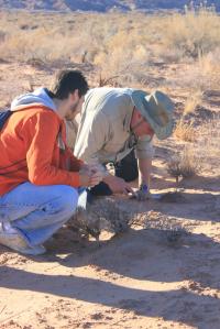 Researchers from Arizona State University Collect Microbe Samples in the Desert