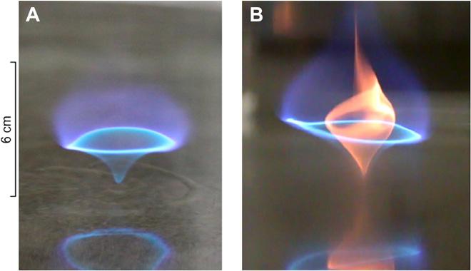 UMD researchers identify structure of blue wh