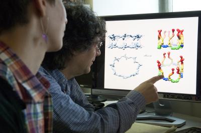 Polarized Microscopy Technique Shows New Details of How Proteins Are Arranged