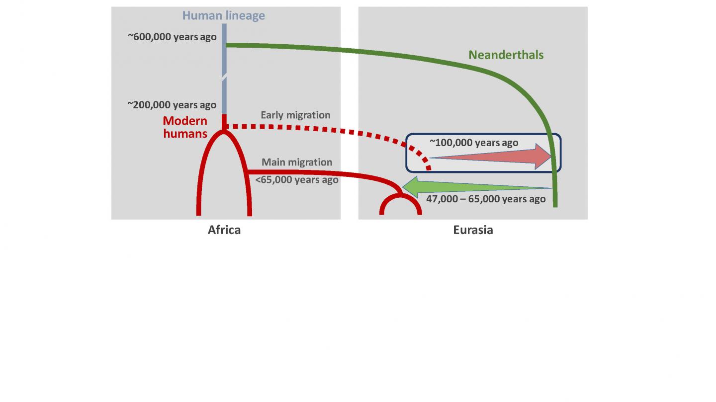 Neanderthals and Modern Humans Mated 100,000 Years Ago in Asia