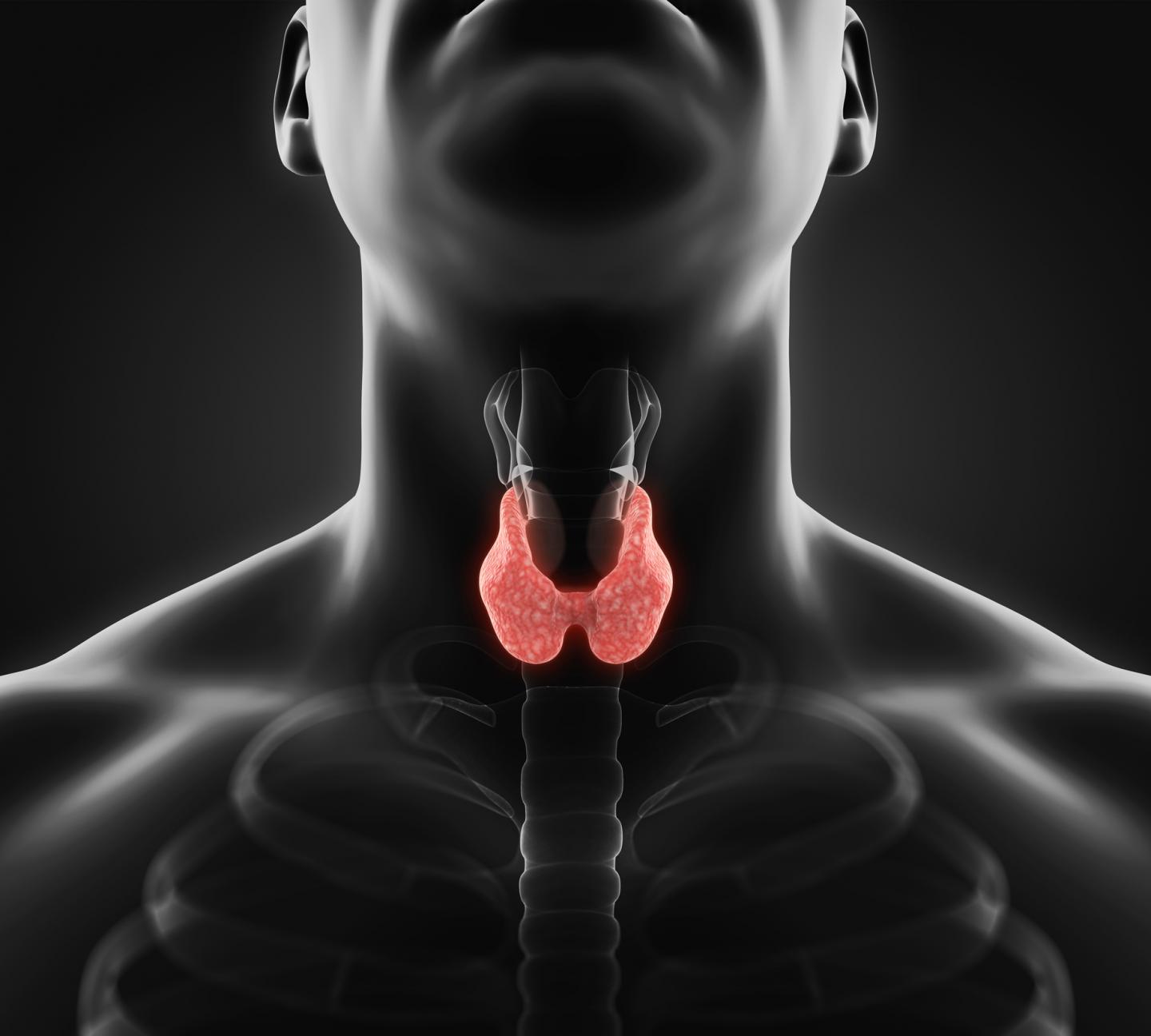 Thyroid Photos