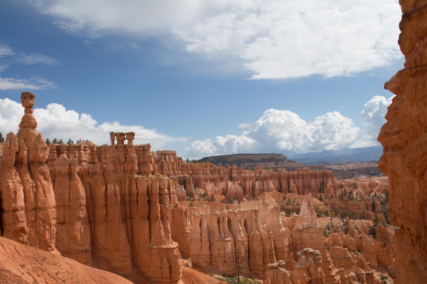 Ozone Levels in U.S. National Parks Similar to Levels in Largest U.S. Cities