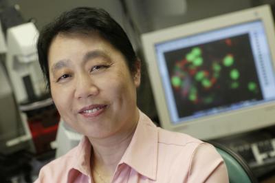 Rennian Wang, University of Western Ontario 