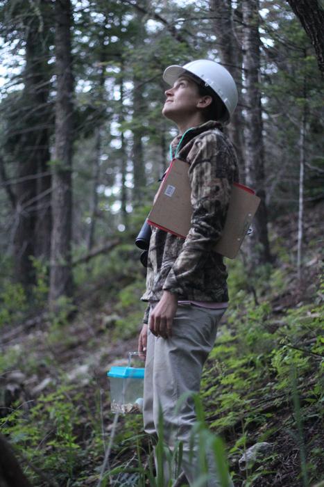 Serra Hoagland at work in the field conducting spotted owl research