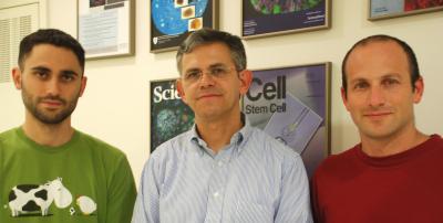 Uri Ben-David, Nissim Benvenisty and Dr. Yoav Mayshar, Hebrew University of Jerusalem